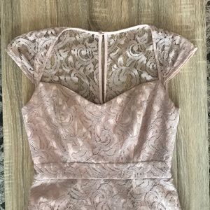 Blush Jcrew Lace Dress with Lining and Boning Sz 2